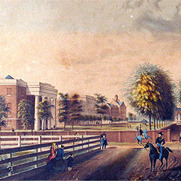 illustration of the historic horseshoe from 1850 with brick buildings and wall infront of a green space lined with palmetto trees. 