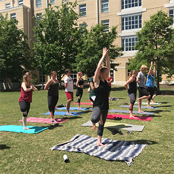 A group of students doing yoga on the grass outside of a residence hall.