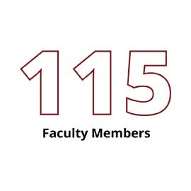 Infographic: 115 Faculty Members
