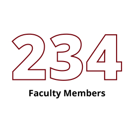 Infographic: 234 Faculty Members