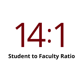 Infographic: 14 to 1 student faculty ratio