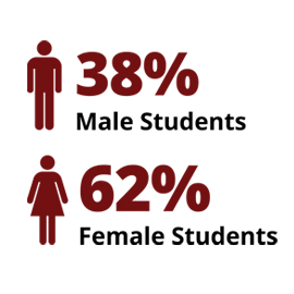 Infographic: 38% Male Students, 62% Female Students