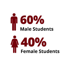 Infographic: 60% Male Students, 40% Female Students