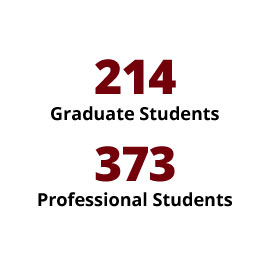 Infographic: 214 Graduate Students, 373 Professional Students