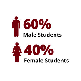 Infographic: 60% Male Students, 40% Female Students