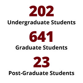 College of Social Work at a Glance | University of South Carolina