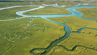 An aerial view of a coastal marsh with winding waterways and lush green vegetation.