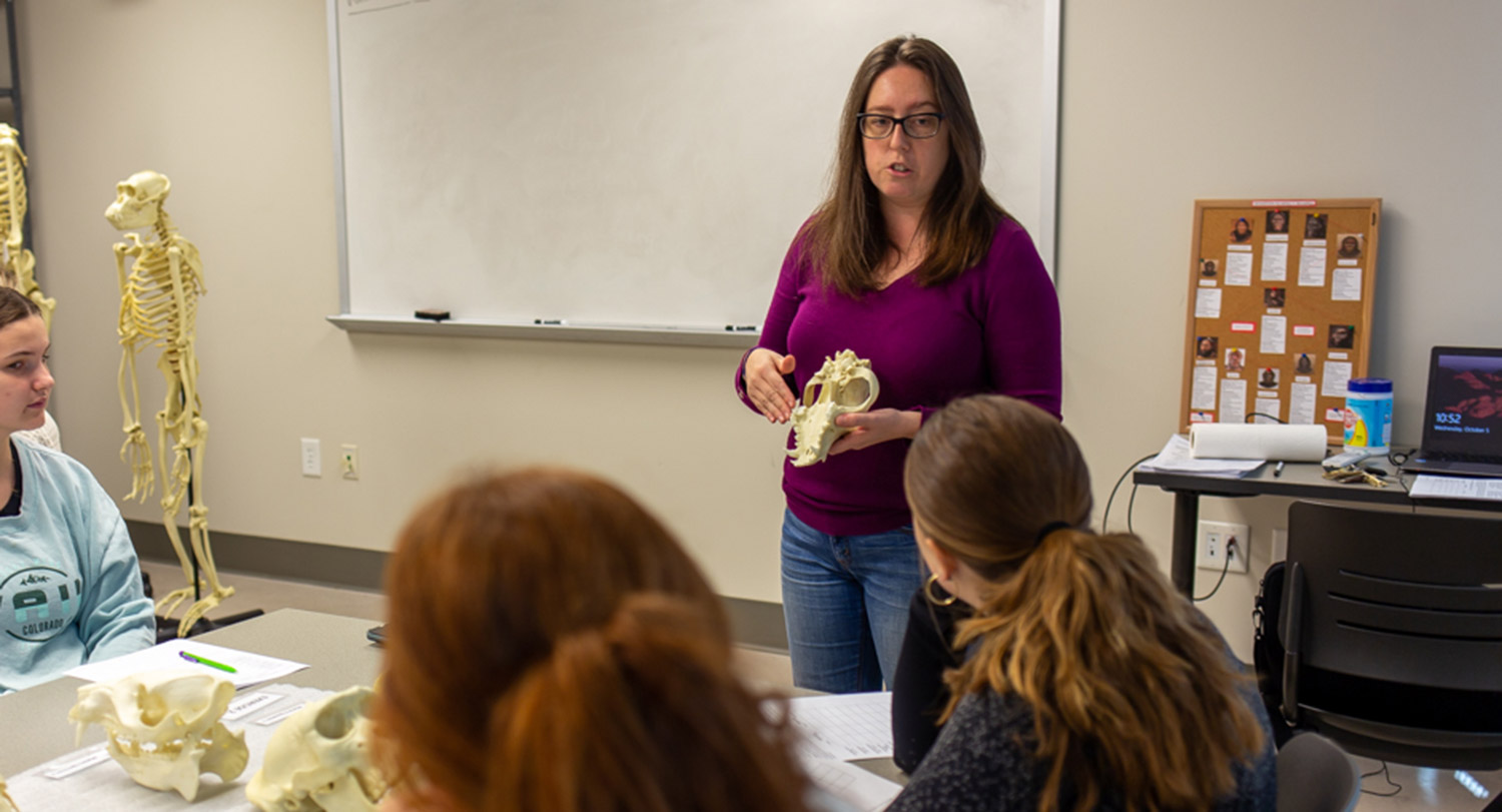 md phd anthropology programs