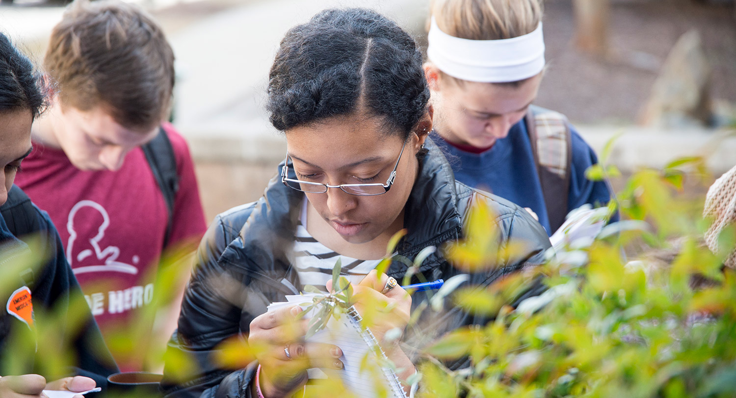 Environmental Science, B.S. | University Of South Carolina