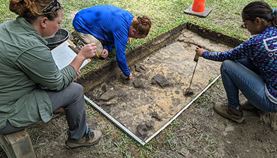 Students uncovering fossils at a gig site.