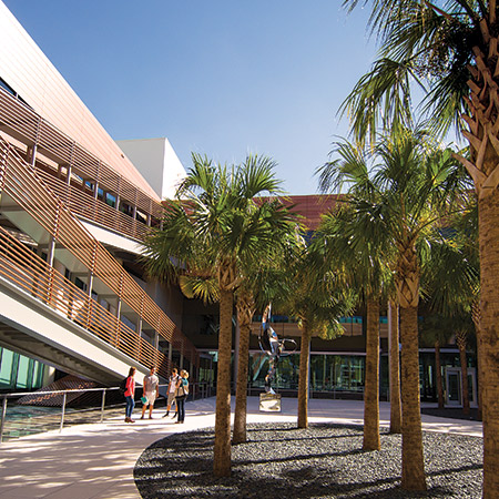 Courtyard of the Moore School of Business building with palmetto trees and four students standing near an art sculpture.