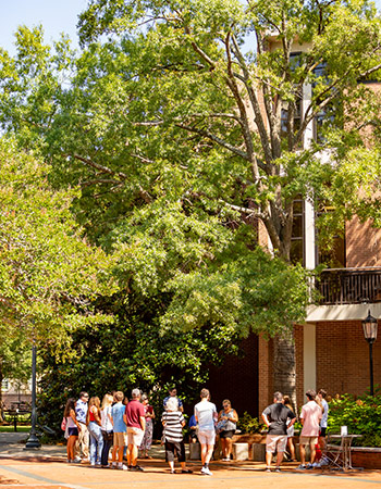 A large tour group stands under a tree outside of the Russell House. 