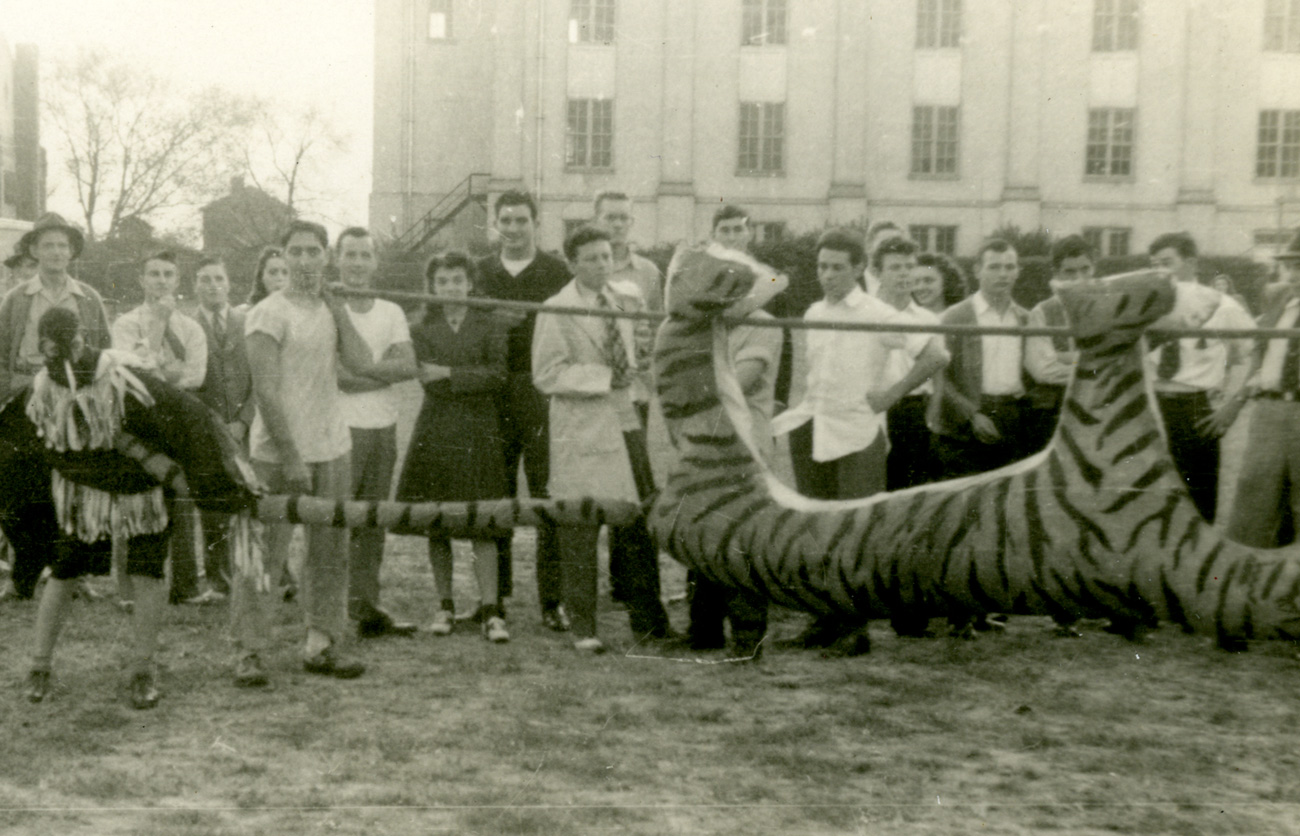 Students and a very early version of Cocky prepare for the Tiger Burn in the 1940s