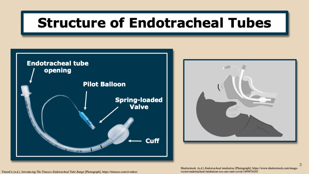 A slide with heading that says: "Structure of Endotracheal Tubes." One diagram shows the parts of a standard breathing tube, including the tube opening, pilot balloon, spring-loaded valve, and cuff. Another diagram shows how the tube fits inside the patient's throat and airway.