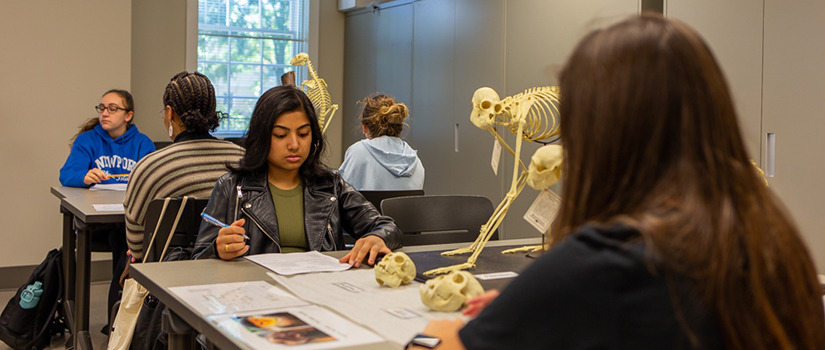 Five students sit at tables with 3D printed bones