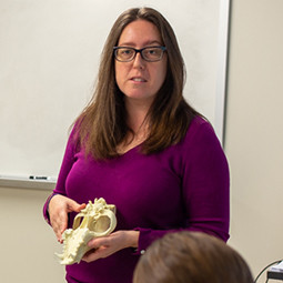 A professor holds a 3-D printed model of an animal skull.