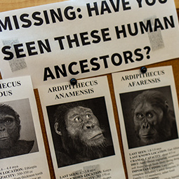 A bulletin board displays newspaper cutouts of primates.