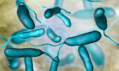 3D illustration of Vibrio vulnificus, credit Dr_microbe