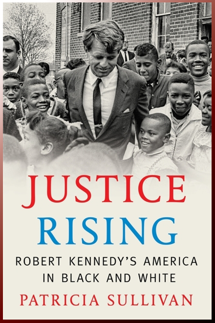 Book cover for Justice Rising