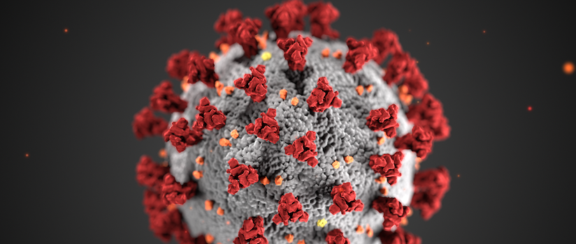 the spikey coronavirus