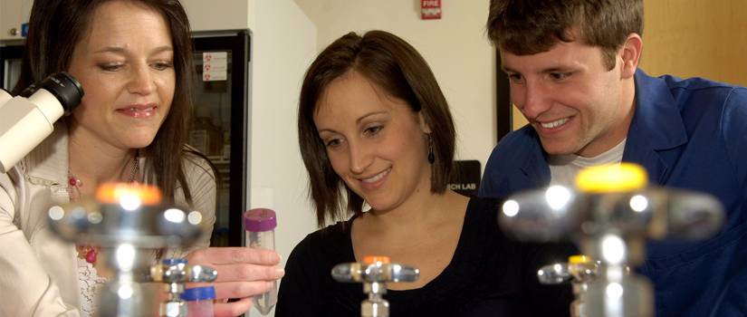 Lab students study a sample. 