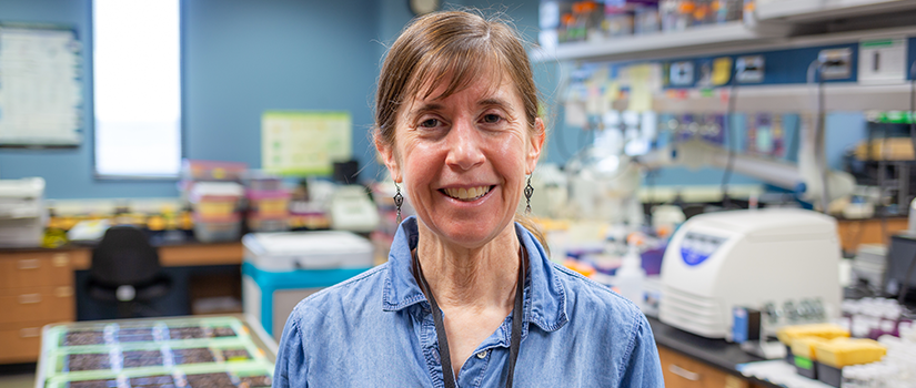 Beth Krizek, a biological sciences professor, stands in a laboratory with research equipment in the background.