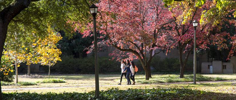 Three students walking on the Horseshoe, framed by trees