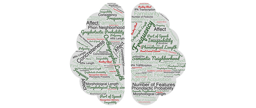 Graphic of two halves of the brain filled with words