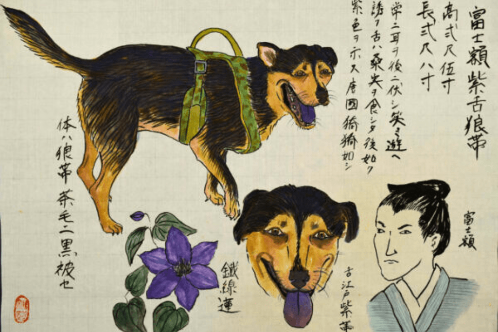 Hiromi Stringer, "Dog 80", 2022, gouache and sumi ink on oriental paper, 9 ½ x 13 ½ inches