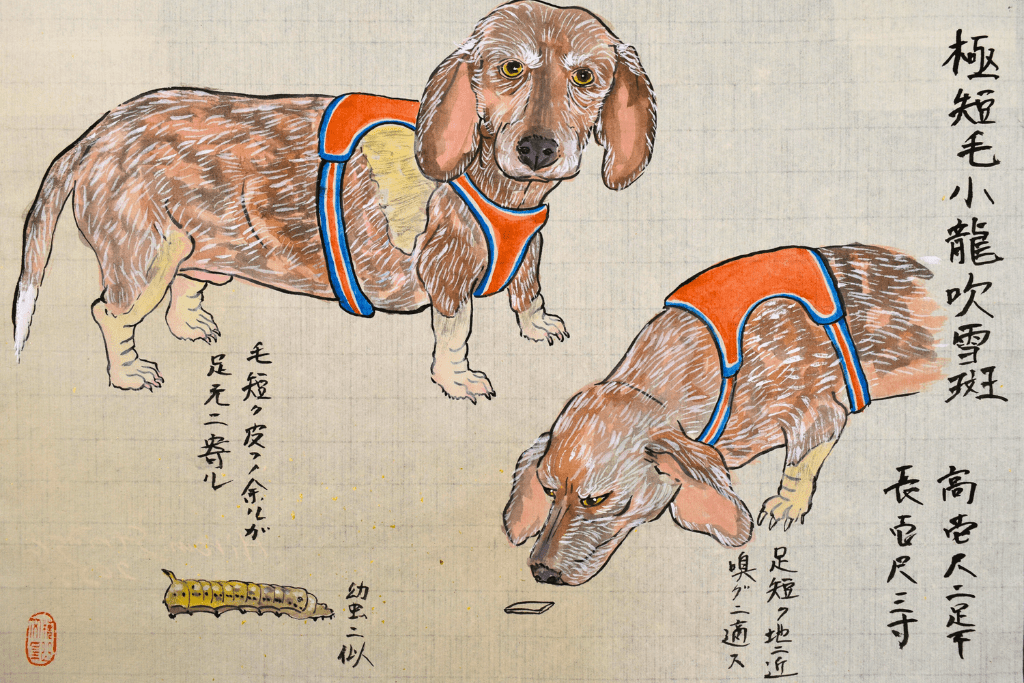 Hiromi Stringer, "Dog 4", 2022, gouache and sumi ink on oriental paper, 9 ½ x 13 ½ inches