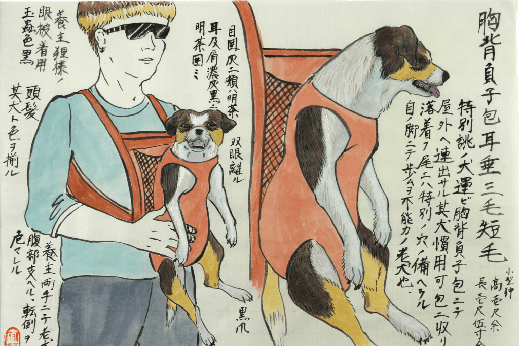 Hiromi Stringer, "Dog 124 (South Texas, Folded-ears Tri-color Short Haired Dog in a Frontal Chest-pack)", 2023, gouache and sumi ink on oriental paper, 9 ½ x13 ½ inches