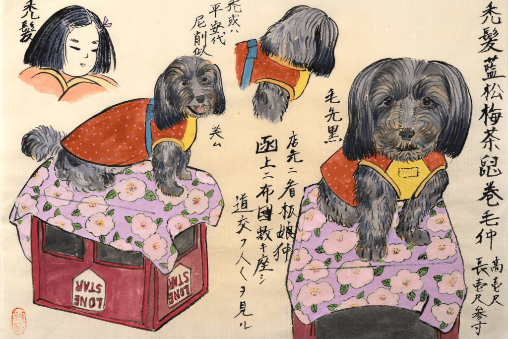 Hiromi Stringer, "Dog 126 (South Texas, Kamuro-hair Indigo Pine Plum Brown Gray Curly Haired Chin)", 2023, gouache and sumi ink on oriental paper, 9 ½  x 13 ½ inches.