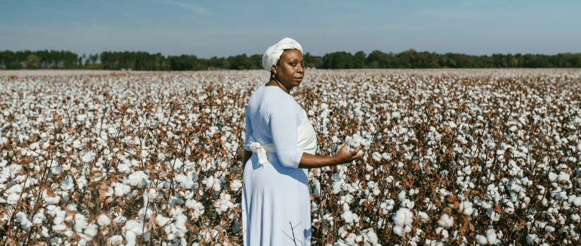 Banner image featuring the artist, Cicely Hill, standing in a field of cotton. She is wearing a blue annd white dress and grasping a handful of cotton.  