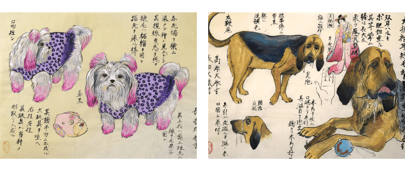 Banner images featuring two dog drawings from Hiromi Stringer's exhibition, "The Dog Show: Time Traveler Umeyama’s Drawings from the 21st Century"