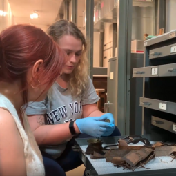 Two students examining collections objects at McKissick Museum..