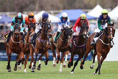 horses racing