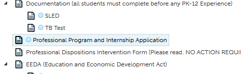 screenshot showing Professional Program and Internship Application
