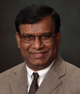 Professor Krishna Mandal