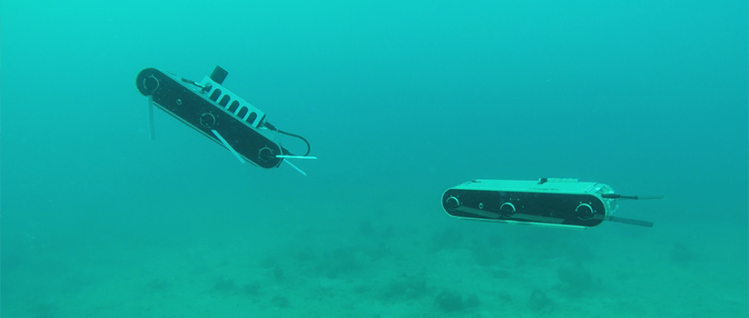 two autonomous robots underwater