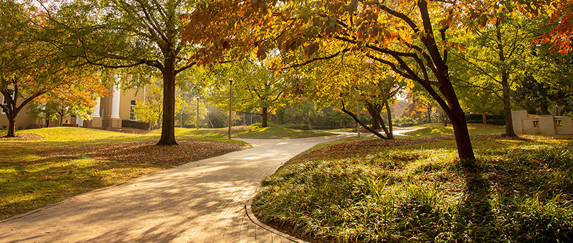 A shady tree-lined path on campus in the late afternoon sun leading to multiple historical university buildings.