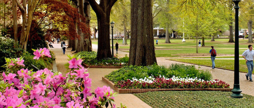 Students walking on campus paths surrounded by trees, flowers and greenery with pink flowers in the left foreground.