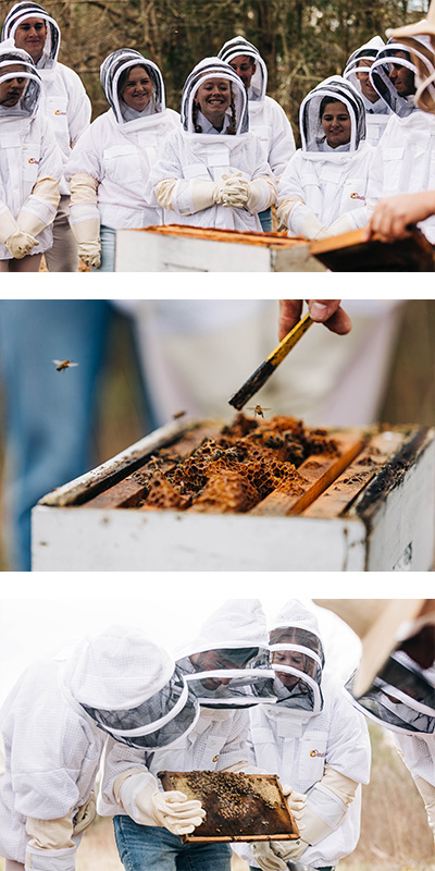 Collage of students in white beekeeping uniforms watching a demonstration.