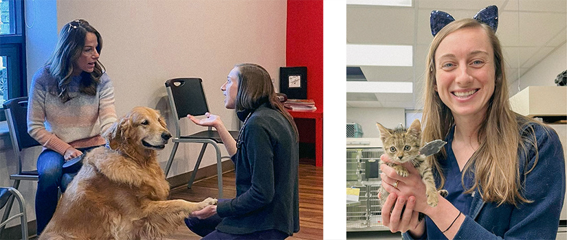 photo collage of young woman with dogs and cats