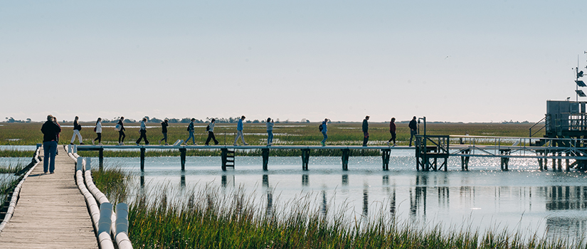 Students walking across a dock.