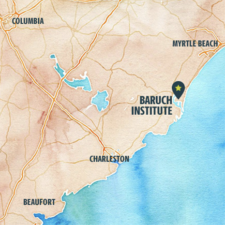 Map of Baruch Institute area