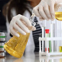 Chemistry of beer