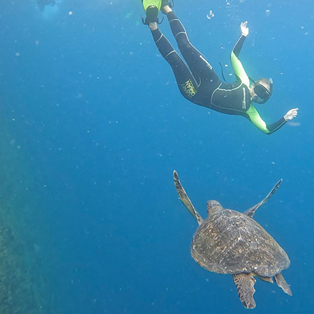 Ava Jackson diving in the Galapagos near a sea turtle