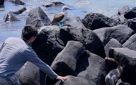 Galapgos student gets a closer look at a blue-footed Boobie and seal while studying on the Galapgos Islands