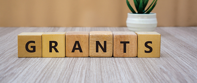 Wooden blocks spelling out the word “GRANTS” are arranged on a wooden surface, with a small potted plant blurred in the background.