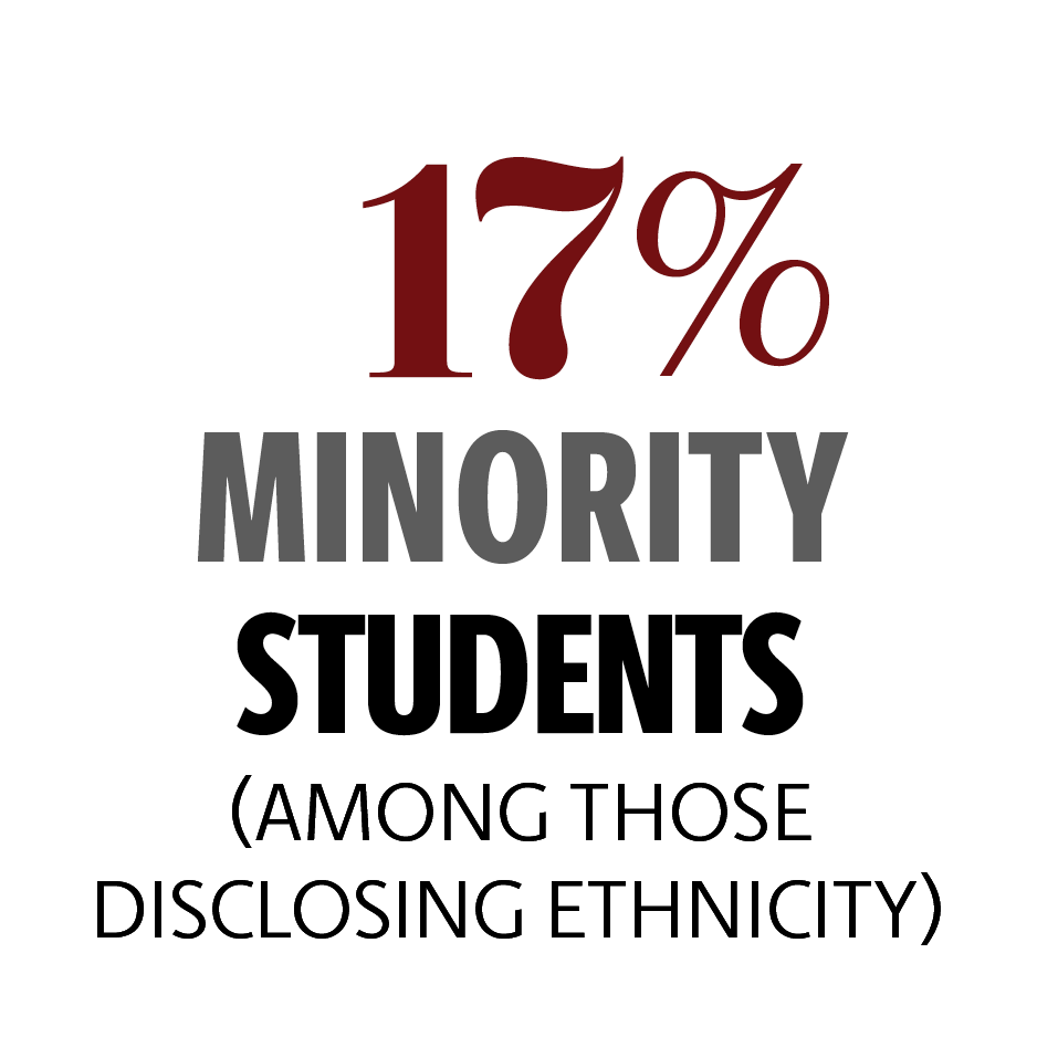 17% minority students (of those who disclosed)